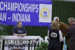 25R13_00279 thumbnail