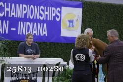 25R13_00280 thumbnail