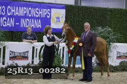 25R13_00282 thumbnail