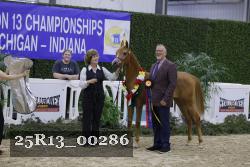25R13_00286 thumbnail