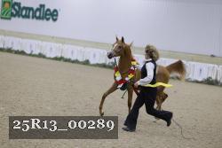 25R13_00289 thumbnail