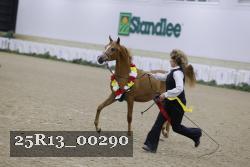 25R13_00290 thumbnail