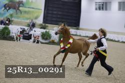 25R13_00291 thumbnail