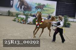 25R13_00292 thumbnail