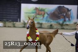 25R13_00293 thumbnail