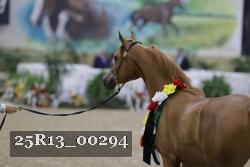 25R13_00294 thumbnail