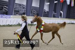 25R13_00297 thumbnail