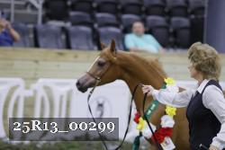 25R13_00299 thumbnail