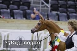 25R13_00300 thumbnail