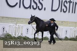 25R13_00303 thumbnail