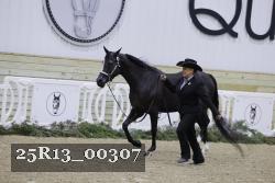 25R13_00307 thumbnail