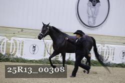 25R13_00308 thumbnail