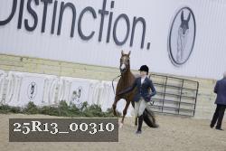 25R13_00310 thumbnail