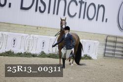 25R13_00311 thumbnail