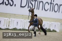 25R13_00312 thumbnail