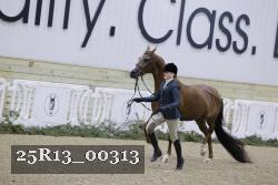 25R13_00313 thumbnail
