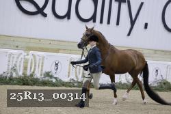 25R13_00314 thumbnail