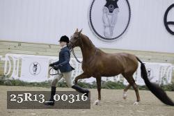 25R13_00316 thumbnail