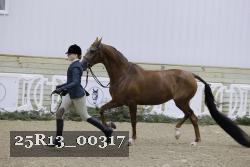 25R13_00317 thumbnail