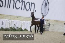 25R13_00318 thumbnail