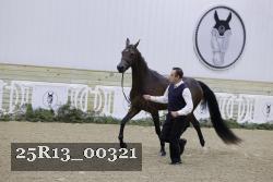 25R13_00321 thumbnail