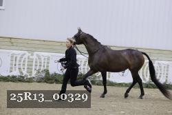 25R13_00329 thumbnail