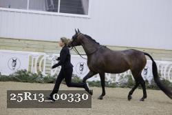 25R13_00330 thumbnail
