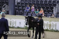 25R13_00331 thumbnail
