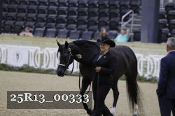 25R13_00333 thumbnail