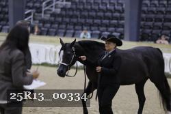 25R13_00334 thumbnail