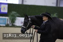 25R13_00336 thumbnail