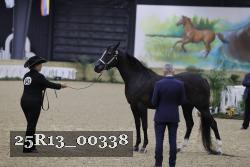 25R13_00338 thumbnail