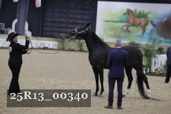 25R13_00340 thumbnail