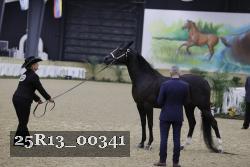 25R13_00341 thumbnail