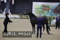 25R13_00342 thumbnail