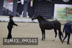 25R13_00343 thumbnail