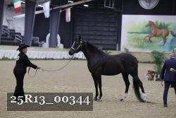 25R13_00344 thumbnail