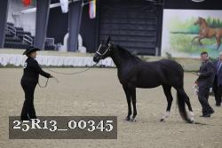 25R13_00345 thumbnail
