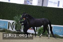 25R13_00346 thumbnail
