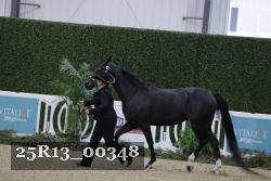 25R13_00348 thumbnail