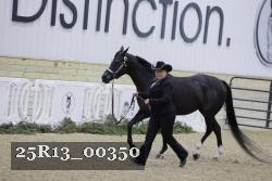 25R13_00350 thumbnail