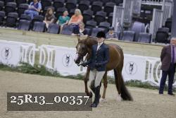 25R13_00357 thumbnail