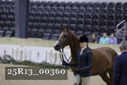 25R13_00360 thumbnail
