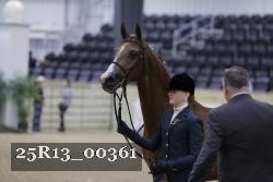 25R13_00361 thumbnail