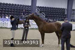 25R13_00363 thumbnail
