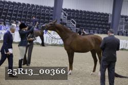 25R13_00366 thumbnail