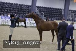 25R13_00367 thumbnail