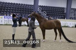 25R13_00368 thumbnail