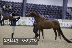 25R13_00370 thumbnail