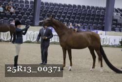 25R13_00371 thumbnail